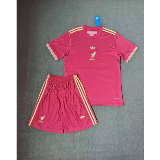 Mexico National Team Special Edition 2026World Cup football jersey Clothing Jersey Suit Shorts El Tri S-4XL