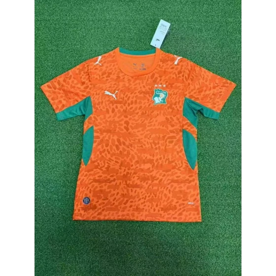 2026World Cup football jersey Clothing Jersey Côte d'Ivoire Home field Elephants S-4XL